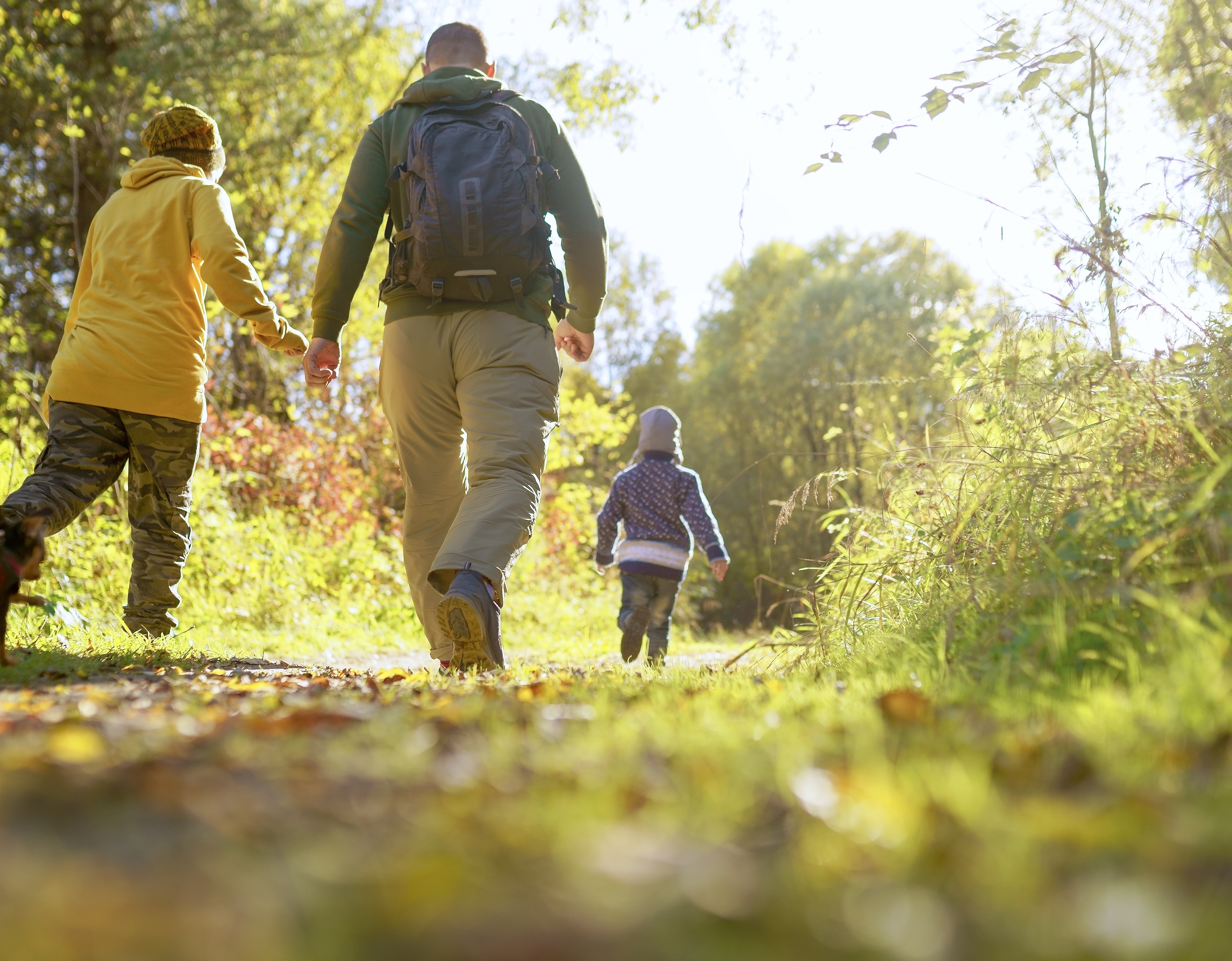 Walking trails in the Illawarra Escarpment Main Image